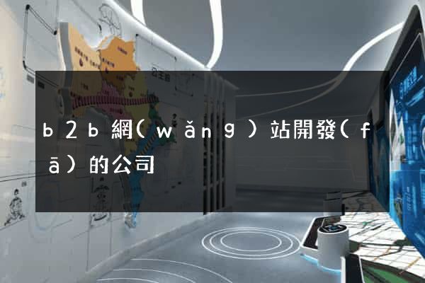 b2b網(wǎng)站開發(fā)的公司