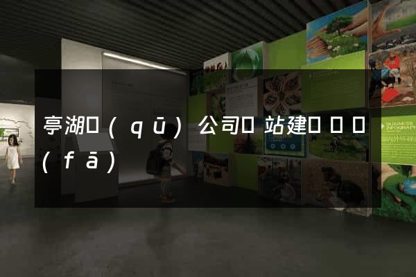 亭湖區(qū)公司網站建設開發(fā)