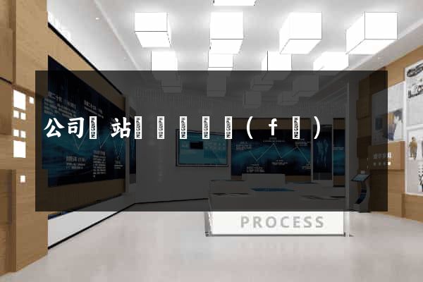 公司網站設計與開發(fā)