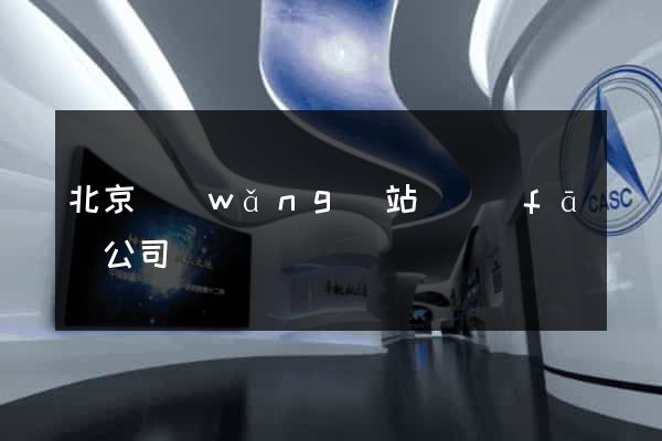 北京網(wǎng)站開發(fā)公司