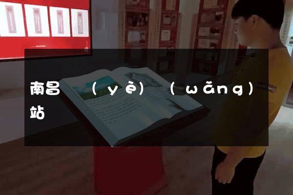 南昌專業(yè)網(wǎng)站設計