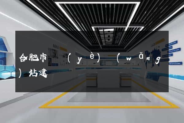 合肥市專業(yè)網(wǎng)站建設