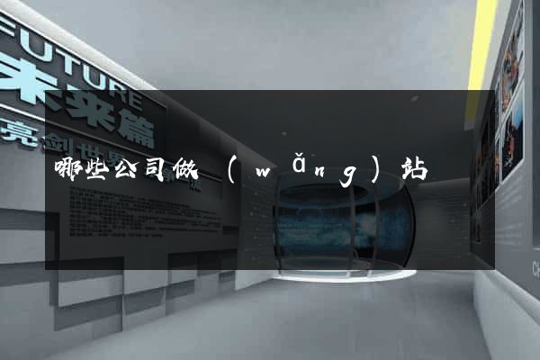 哪些公司做網(wǎng)站