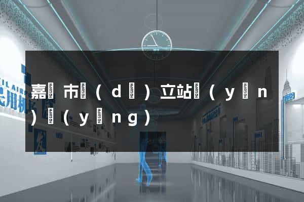 嘉興市獨(dú)立站運(yùn)營(yíng)