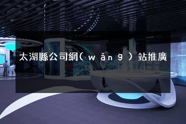 太湖縣公司網(wǎng)站推廣