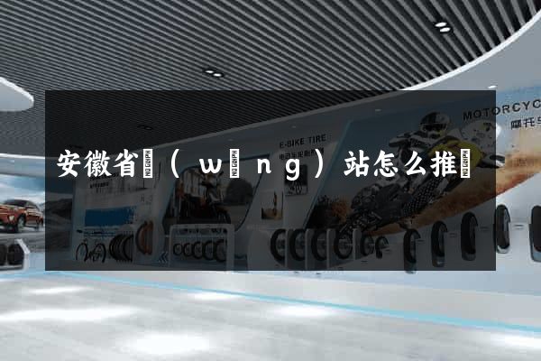 安徽省網(wǎng)站怎么推廣