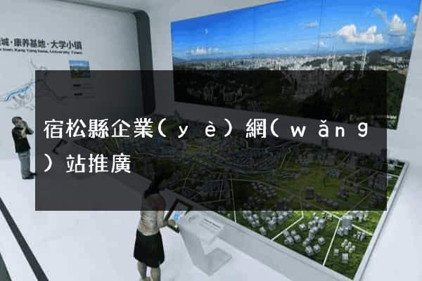 宿松縣企業(yè)網(wǎng)站推廣