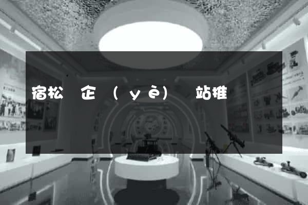宿松縣企業(yè)網站推廣