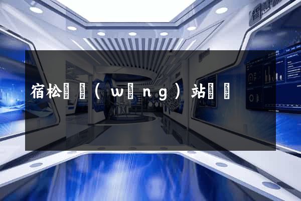 宿松縣網(wǎng)站營銷