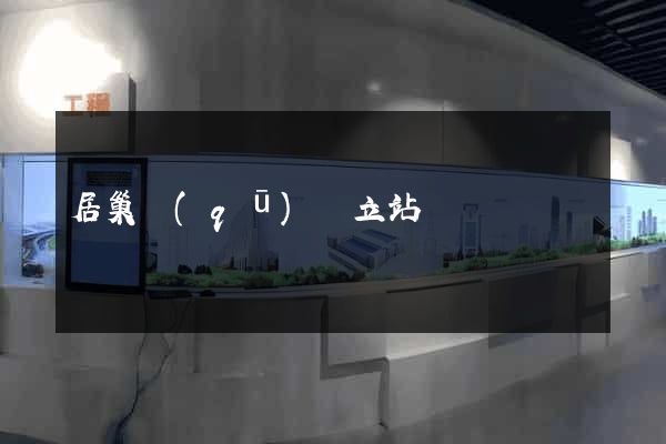 居巢區(qū)獨立站運營