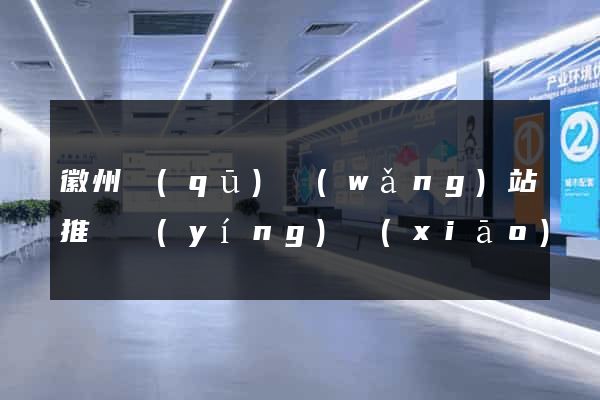 徽州區(qū)網(wǎng)站推廣營(yíng)銷(xiāo)
