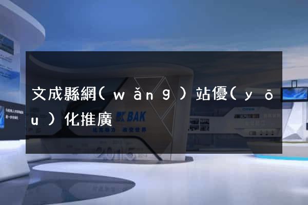 文成縣網(wǎng)站優(yōu)化推廣