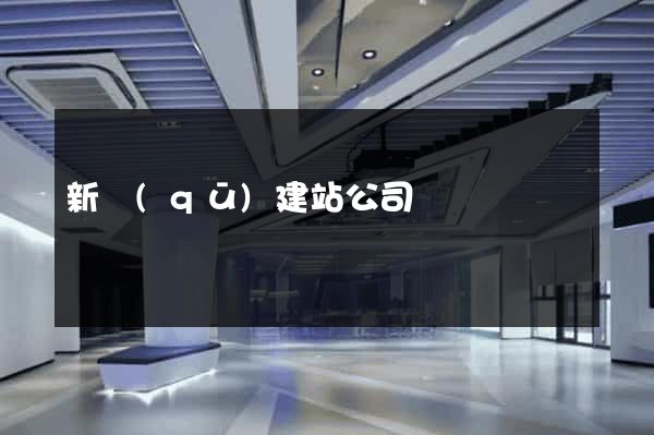 新區(qū)建站公司