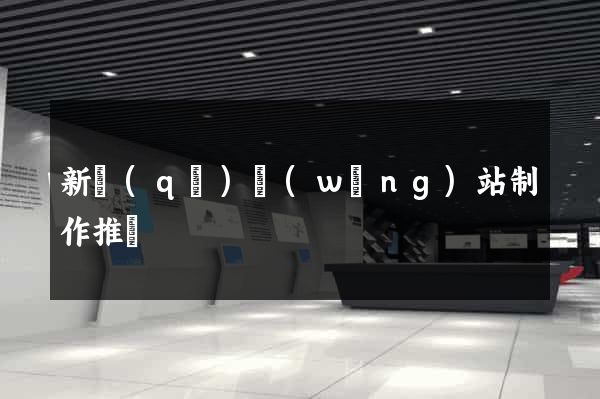 新區(qū)網(wǎng)站制作推廣