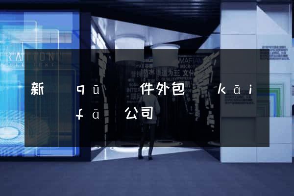 新區(qū)軟件外包開(kāi)發(fā)公司