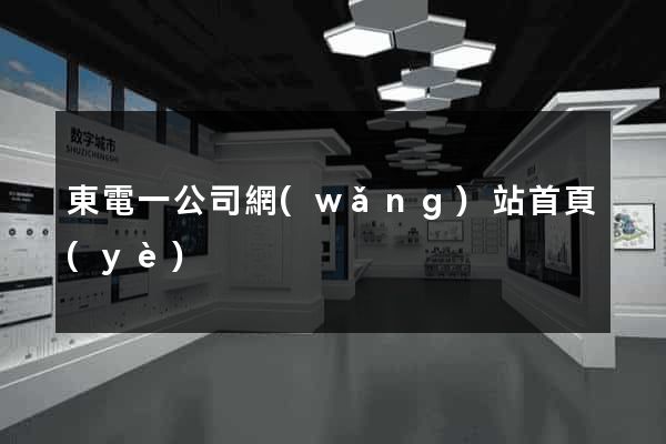 東電一公司網(wǎng)站首頁(yè)