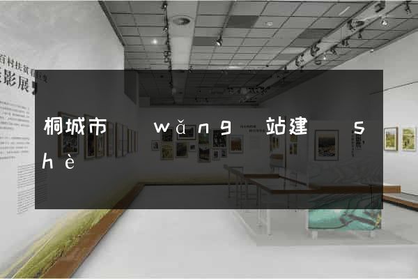 桐城市網(wǎng)站建設(shè)