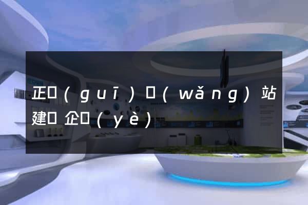 正規(guī)網(wǎng)站建設企業(yè)