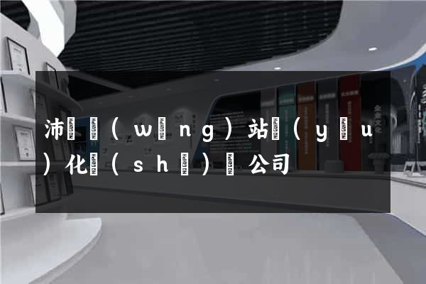 沛縣網(wǎng)站優(yōu)化設(shè)計公司