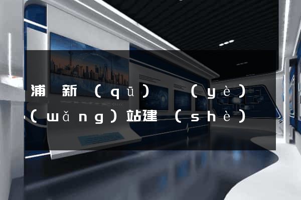 浦東新區(qū)專業(yè)網(wǎng)站建設(shè)