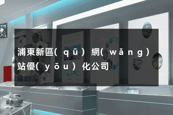 浦東新區(qū)網(wǎng)站優(yōu)化公司