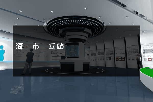 海門市獨立站運營