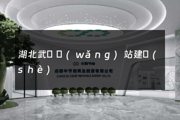 湖北武漢網(wǎng)站建設(shè)