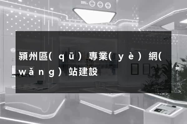 潁州區(qū)專業(yè)網(wǎng)站建設