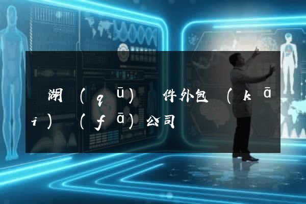 濱湖區(qū)軟件外包開(kāi)發(fā)公司