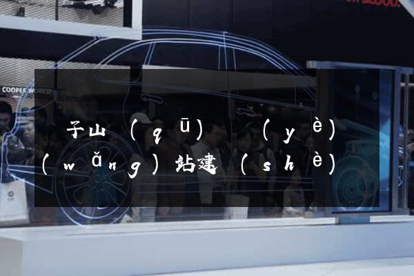 獅子山區(qū)專業(yè)網(wǎng)站建設(shè)