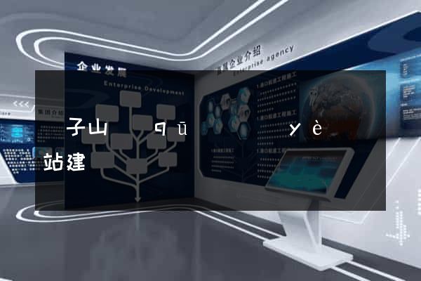 獅子山區(qū)專業(yè)網站建設