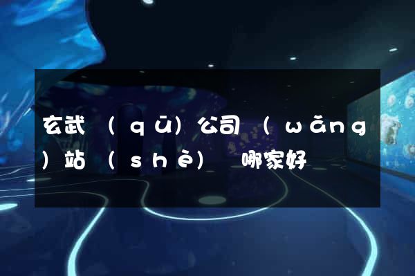 玄武區(qū)公司網(wǎng)站設(shè)計哪家好