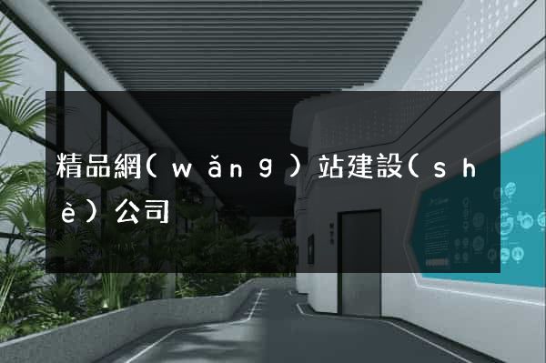 精品網(wǎng)站建設(shè)公司