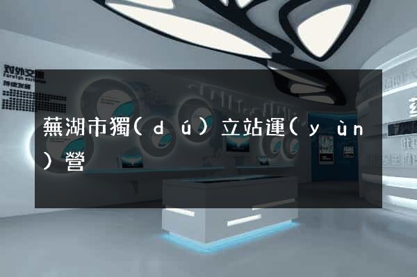 蕪湖市獨(dú)立站運(yùn)營