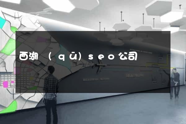 西湖區(qū)seo公司