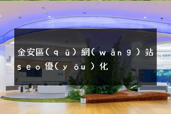 金安區(qū)網(wǎng)站seo優(yōu)化