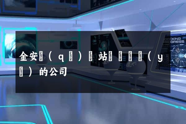 金安區(qū)網站設計專業(yè)的公司