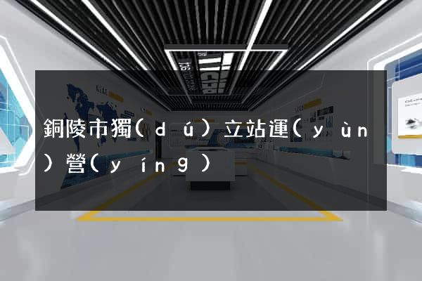 銅陵市獨(dú)立站運(yùn)營(yíng)