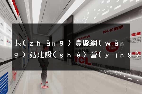 長(zhǎng)豐縣網(wǎng)站建設(shè)營(yíng)銷型