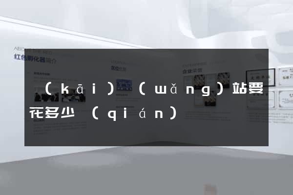 開(kāi)網(wǎng)站要花多少錢(qián)