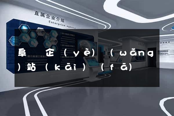 阜寧縣企業(yè)網(wǎng)站開(kāi)發(fā)