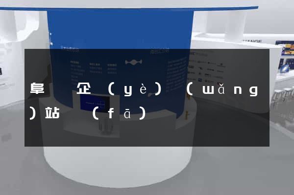 阜寧縣企業(yè)網(wǎng)站開發(fā)