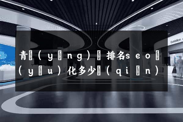 青陽(yáng)縣排名seo優(yōu)化多少錢(qián)