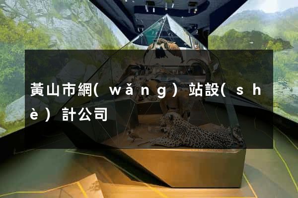 黃山市網(wǎng)站設(shè)計公司