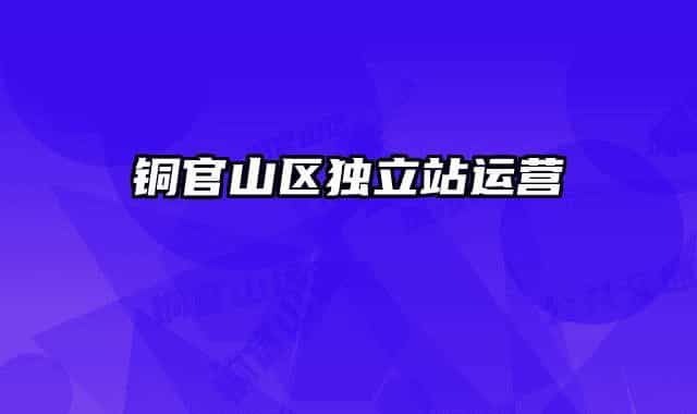 銅官山區(qū)獨立站運營