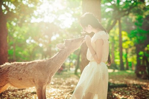 網(wǎng)購(gòu)平臺(tái)建設(shè)