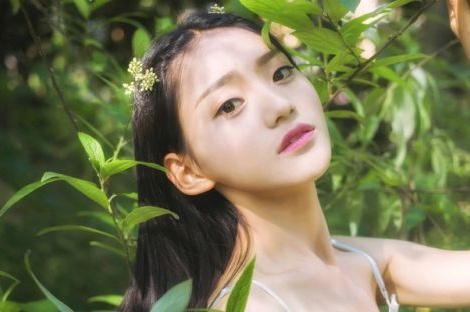 怎么在手機上搭建網(wǎng)站